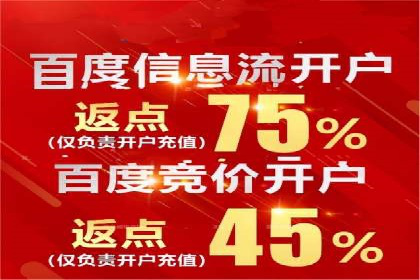 百度推广运营成功故事：品牌与效果的双重胜利